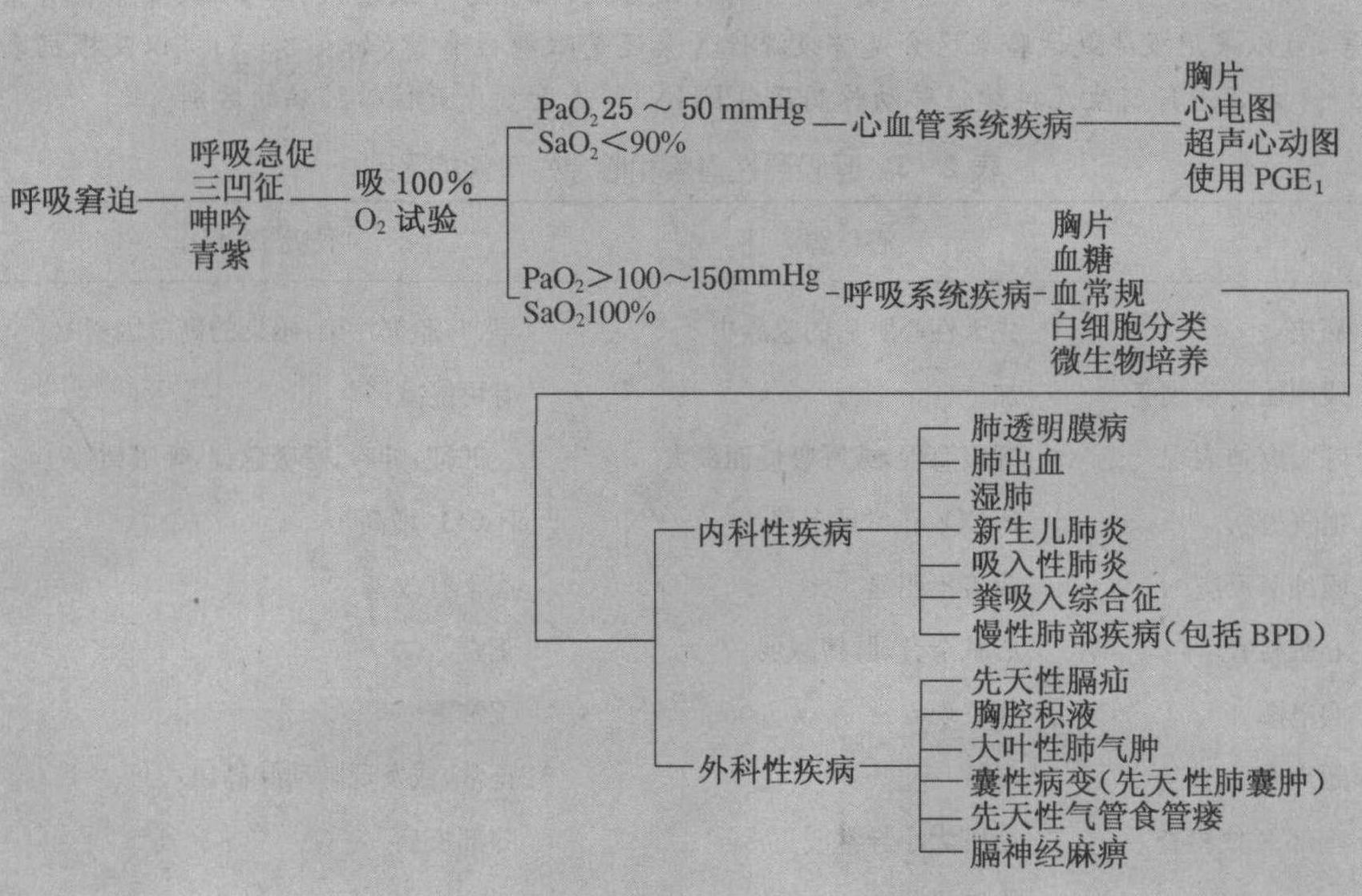 第一节 新生儿青紫